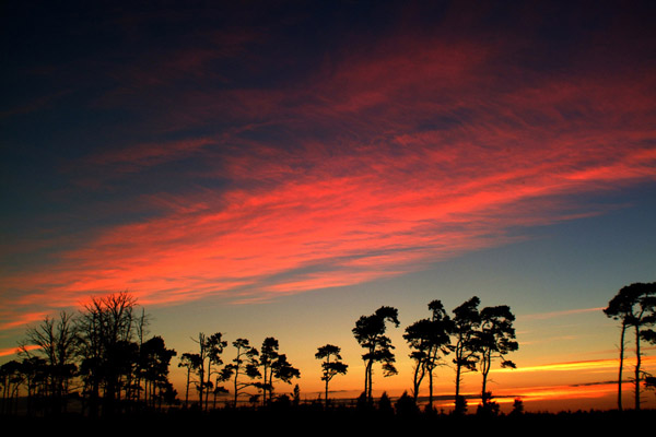 Sunrise
